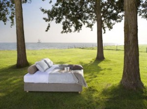 lavitalbed