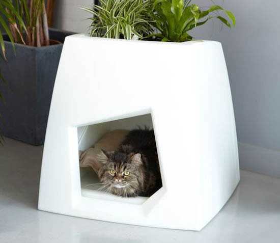 groendak-kat