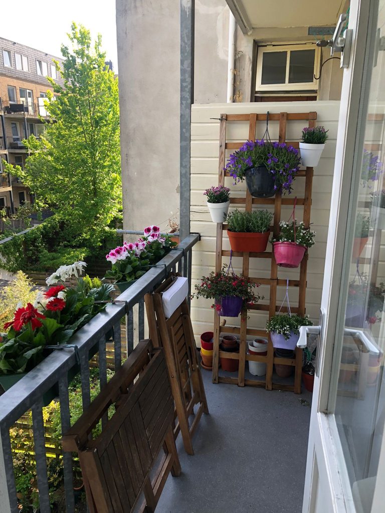 Balkon Bloem