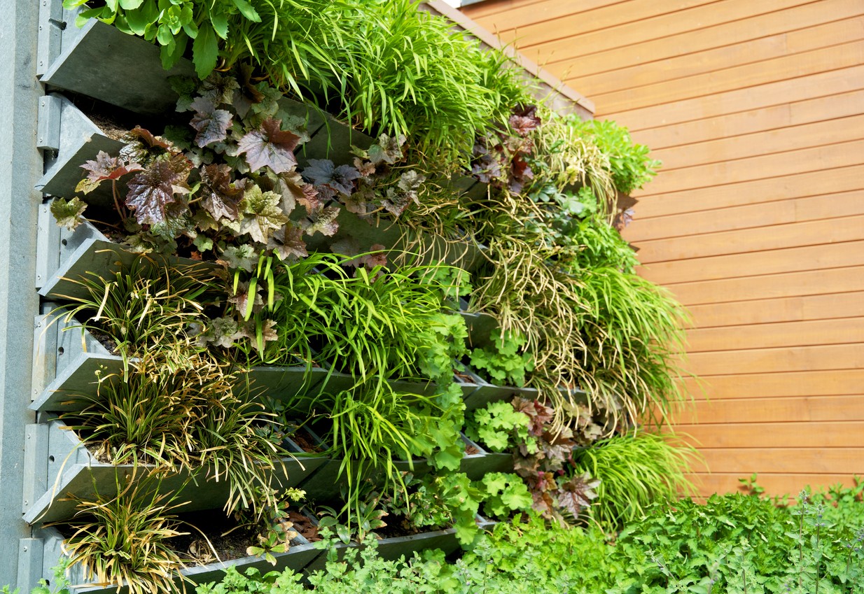 Verticale tuin