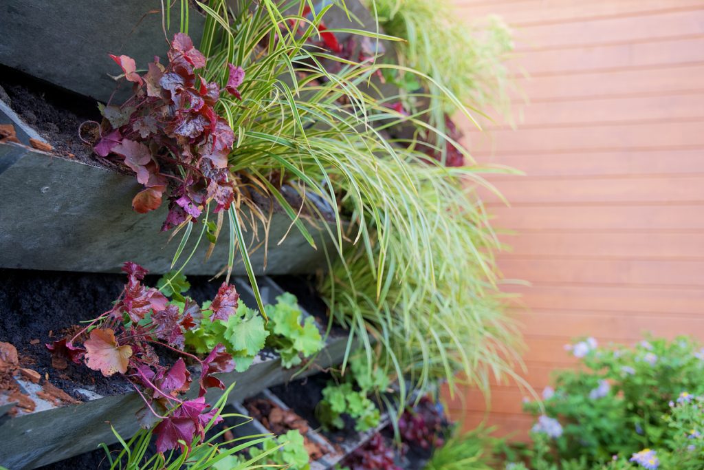 Vertical Green Wall Garden Made From Recycled Waste Plastics On Behalf Of Climate Adaptation