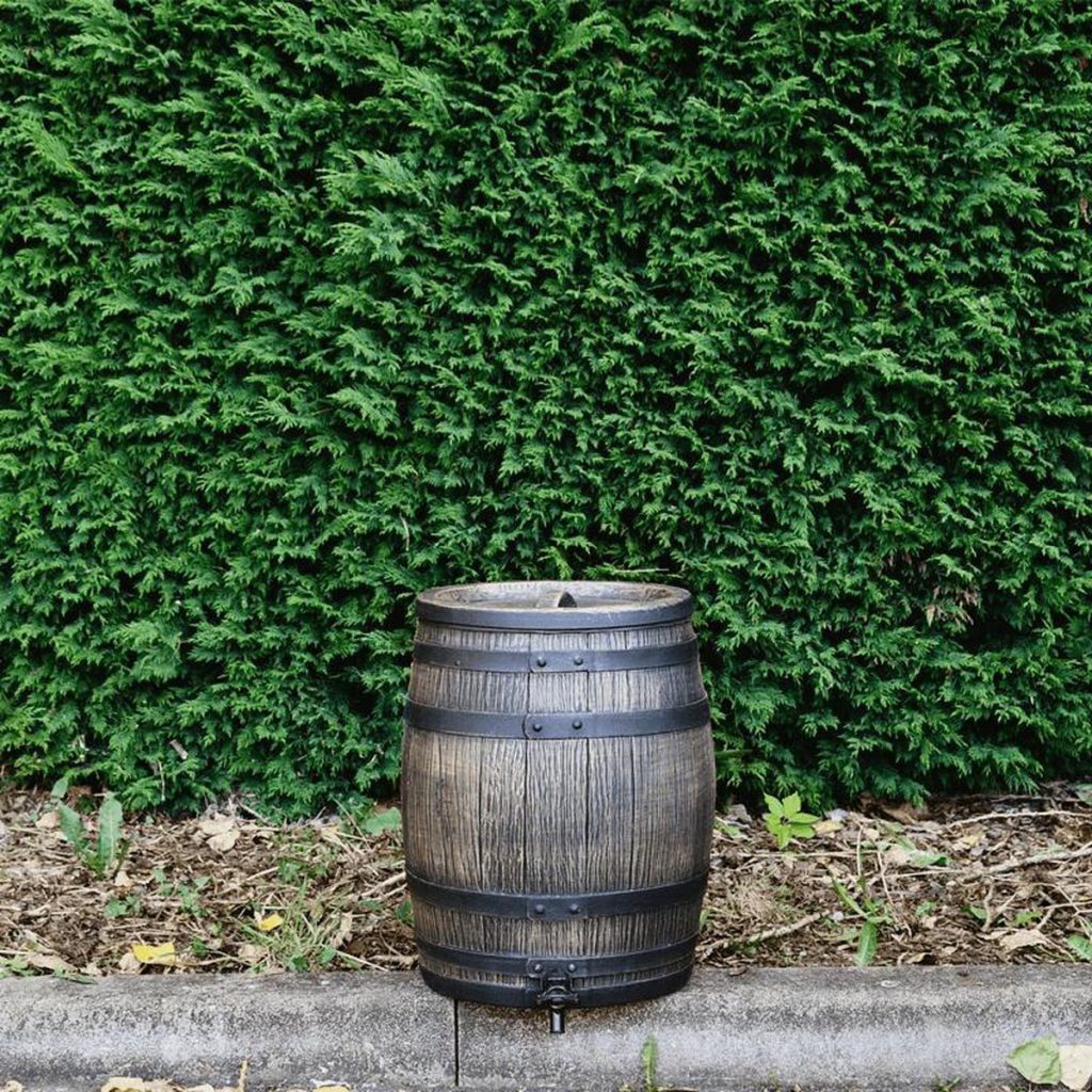 Regenton Roto Hout Look