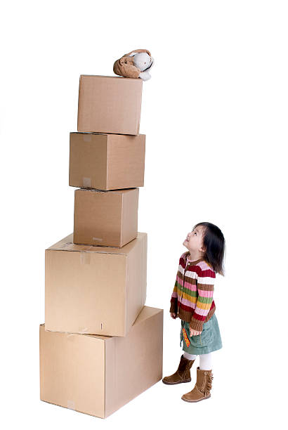 Kartonnen Blokkentoren Dozen