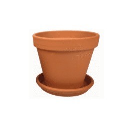 Terracotta plantenpotten met schotel
