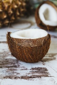 Kokosnoot voedingbakje
