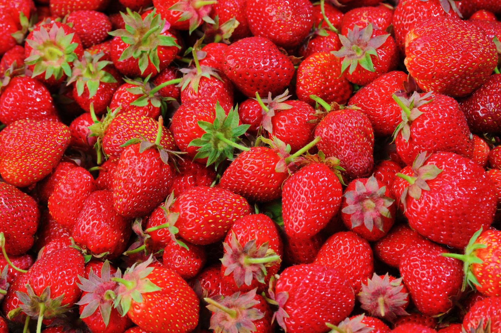 Aardbeien
