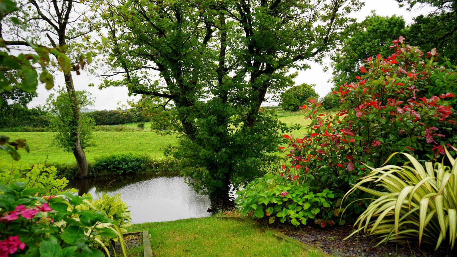 Duurzame tuin