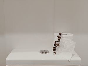 Duurzaam Toilet