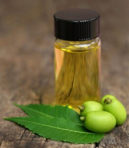 Medicinal Neem Leaves With Essential Oil