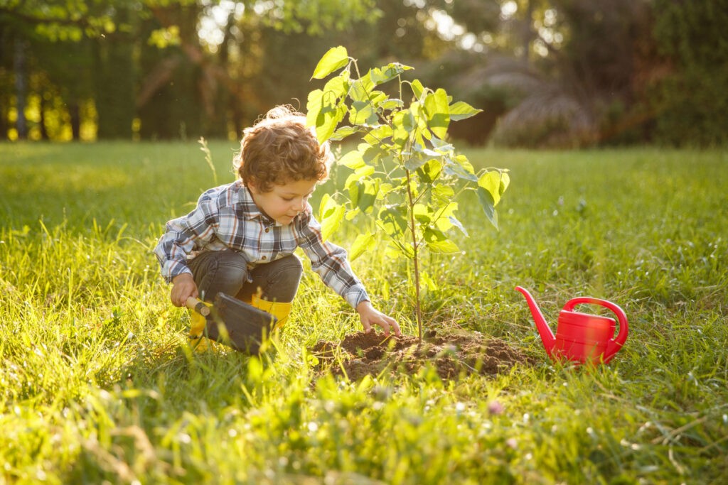 Kid Taking Care Of Tree In Garden