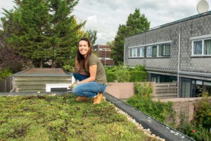 Het Groene Loket Groendak